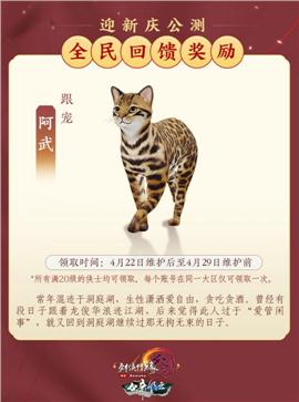 天龙八部私服宝宝数量